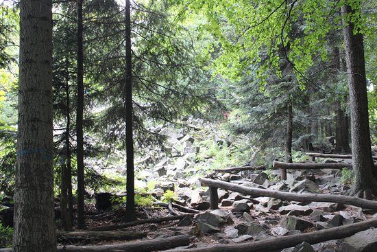 Świętokrzyski Park Narodowy